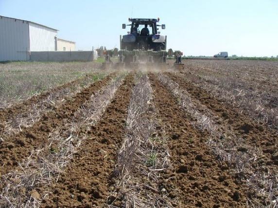 VYUŽITÍ Strip-Till NA PODZIM do STRINIŠTĚ až15 cm vysokého (se zásobním hnojením P,K) VÝHODA: rychlejší ohřev půdy na jaře = dřívější termín setí NEVÝHODA: možné zakrytí pásů mulčem,