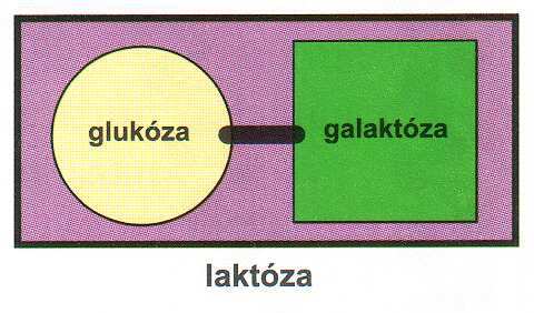 MALTÓZA, CUKR SLADOVÝ C 12 H 22 O 11 : Je složen ze dvou molekul glukózy Jako potravina má stejnou