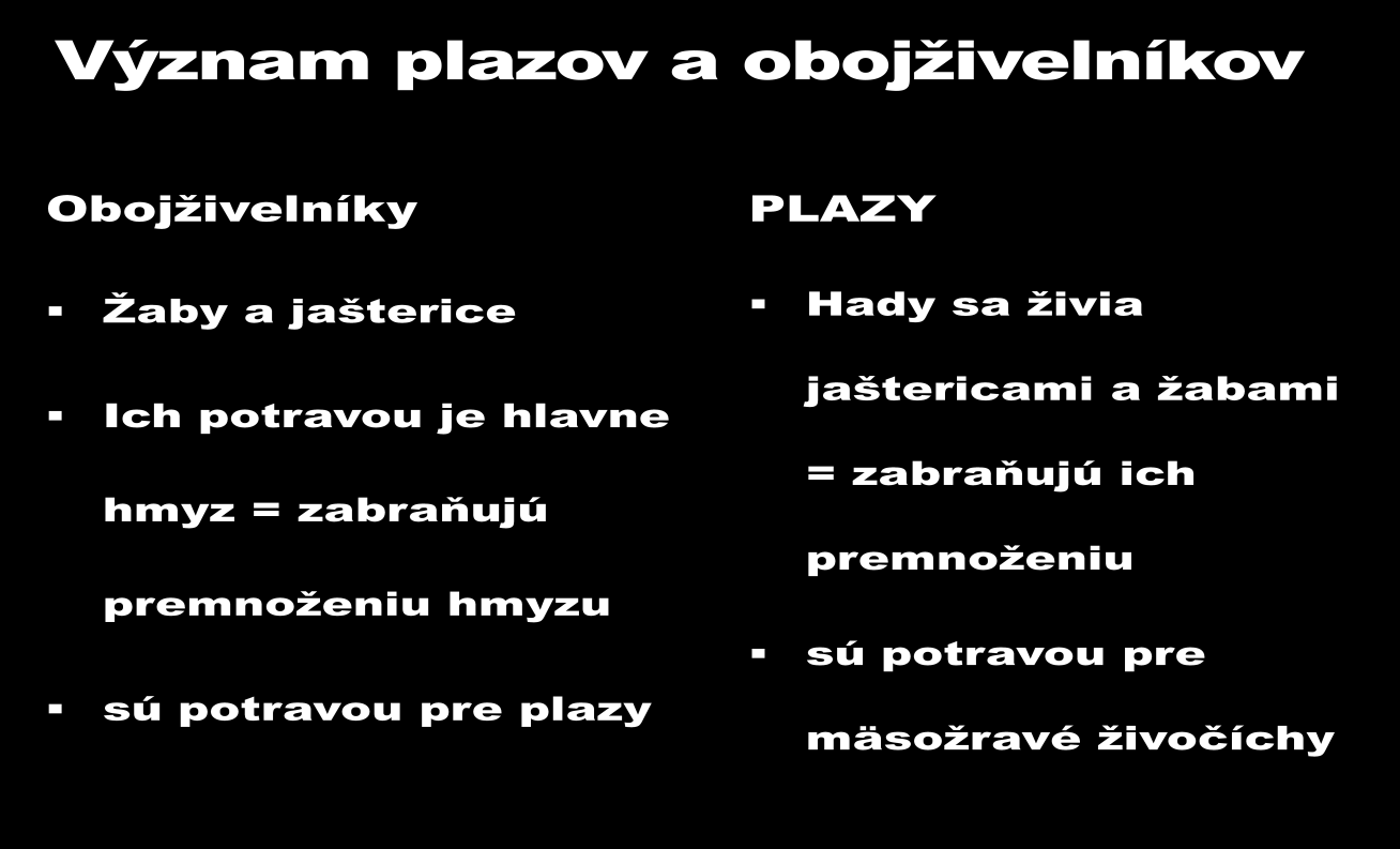 LESNÉ VTÁKY Vtákom sa predné končatiny premenili na krídla s perím. Perie obrysové vonkajšie páperie spodné letky na chvoste a krídlach Na hlave majú zobák prispôsobený na získavanie potravy.