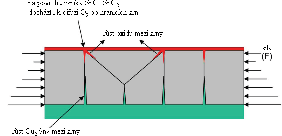 cínové vrstvy než u její základny. Pokud atomy cínu mají prostor k pohybu (vakance), poté by se primárně pohybovaly směrem k povrchu cínové vrstvy.