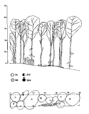 m n.m., nad 8 C, pod 600 mm, nad 165 dní VegD (Plíva 1991); pod 300 m n.m., kolem 9 C, kolem 500 mm, nad 170 dní VegD (Buček &Lacina 1999); ČR: v panonské oblasti jižní Moravy Mediteránní oblast 2.