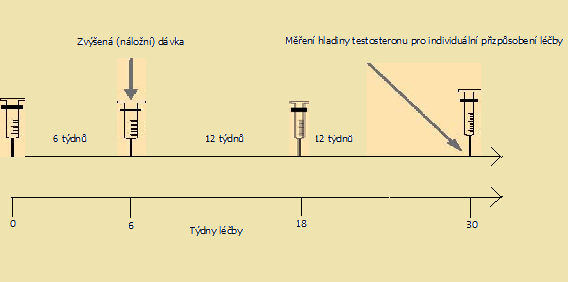 Řízení rizika pro pacienty léčenými přípravkem Nebido Nebido se podává každých 10-14 týdnů. Začátek léčby Před začátkem léčby a během úvodní fáze léčby by měly být měřeny sérové hladiny testosteronu.