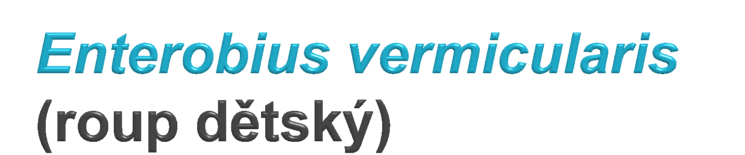 Drobná hlístice Zdrţuje se ve střevě, člověk se nakazí spolknutím infekčních vajíček Sameček je o něco menší neţ samička Vajíčka klade v perianálních řasách