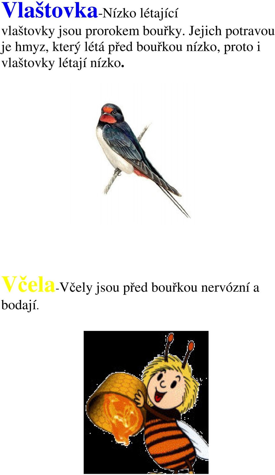 Jejich potravou je hmyz, který létá ped boukou