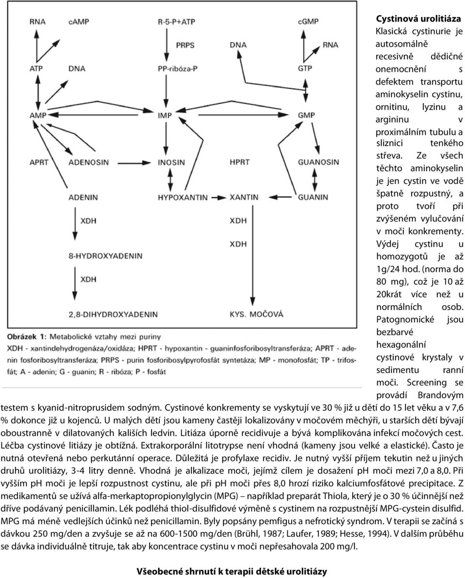 (norma do 80 mg), což je 10 až 20krát více než u normálních osob. Patognomické jsou bezbarvé hexagonální cystinové krystaly v sedimentu ranní moči.