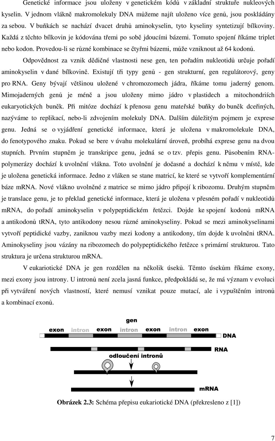 Provedou-li se různé kombinace se čtyřmi bázemi, může vzniknout až 64 kodonů. Odpovědnost za vznik dědičné vlastnosti nese gen, ten pořadím nukleotidů určuje pořadí aminokyselin v dané bílkovině.