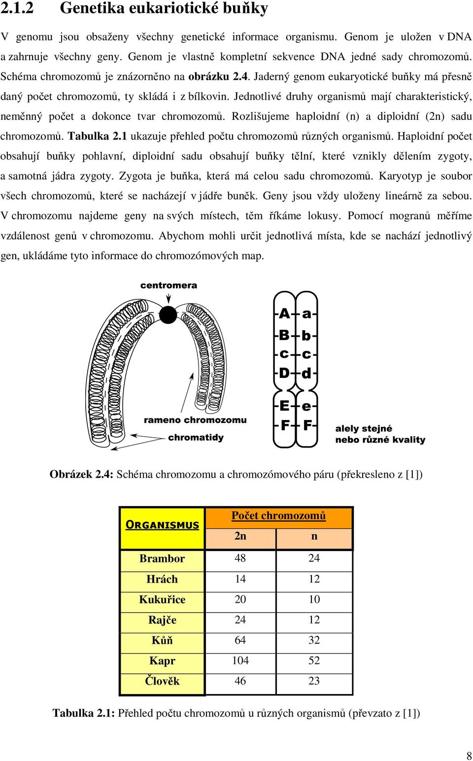 Jednotlivé druhy organismů mají charakteristický, neměnný počet a dokonce tvar chromozomů. Rozlišujeme haploidní (n) a diploidní (2n) sadu chromozomů. Tabulka 2.