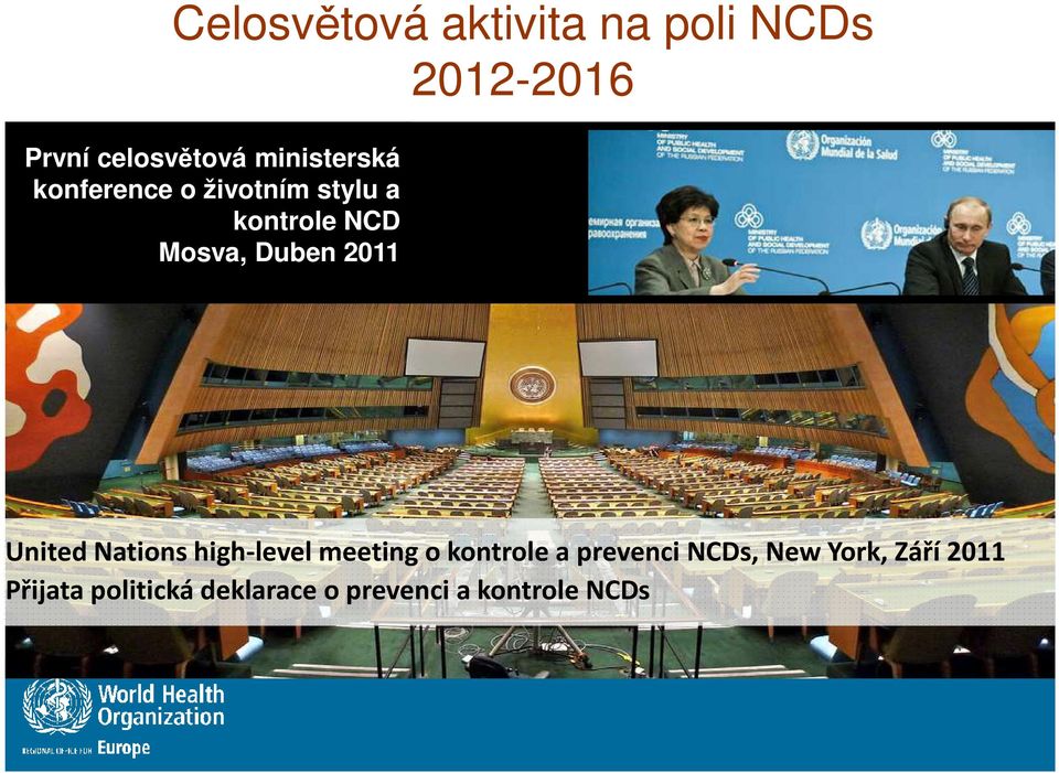2011 United Nations high-level meeting o kontrole a prevenci NCDs,