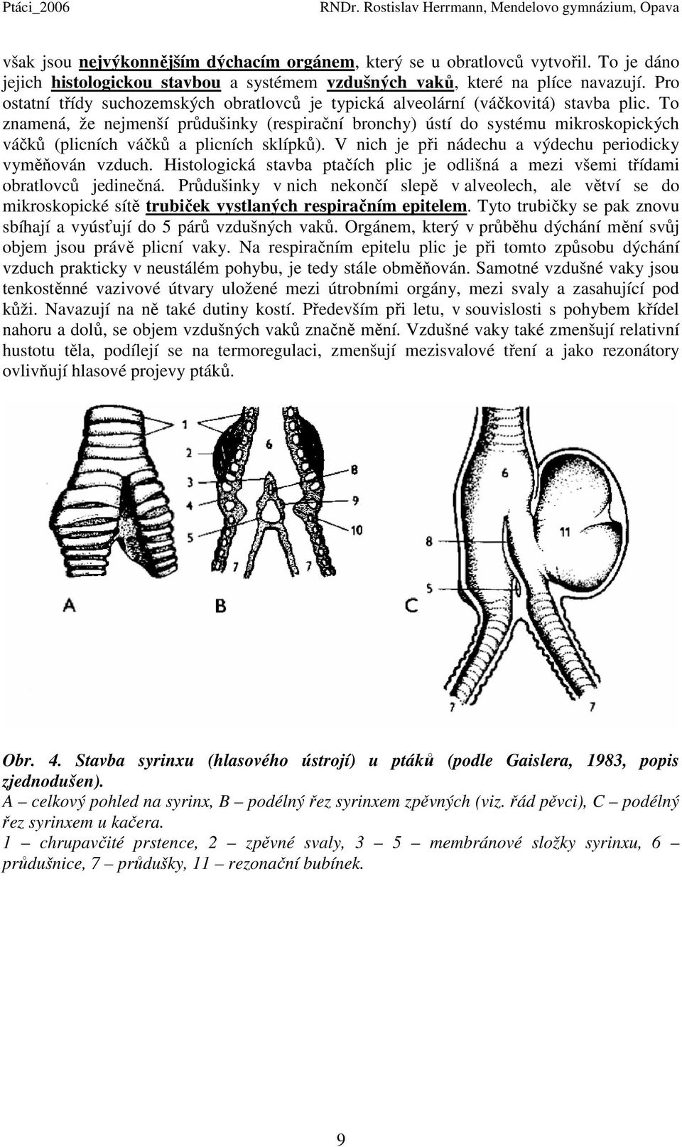 To znamená, že nejmenší průdušinky (respirační bronchy) ústí do systému mikroskopických váčků (plicních váčků a plicních sklípků). V nich je při nádechu a výdechu periodicky vyměňován vzduch.