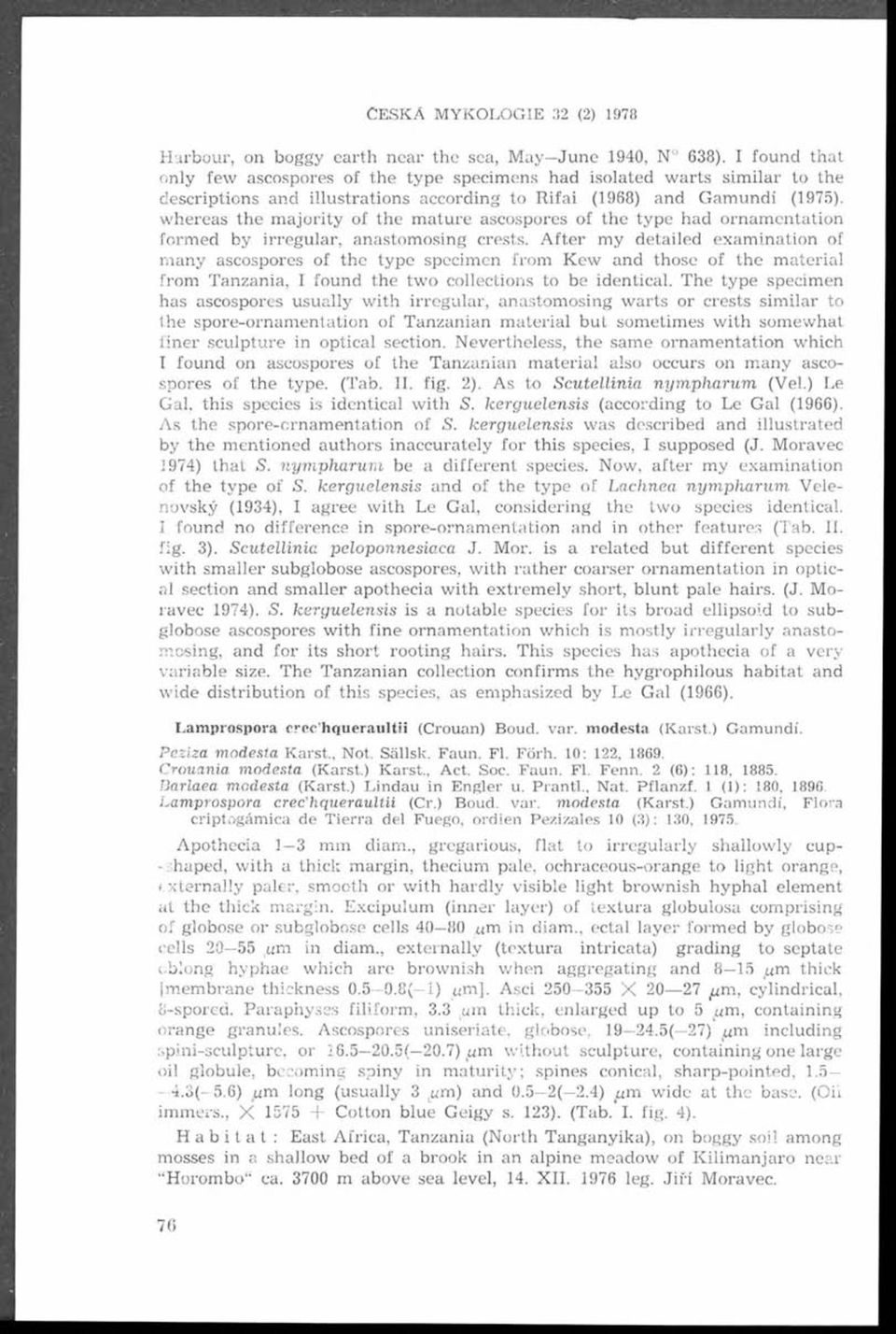 the m ature ascospores of the type had ornam entation form ed by irregular, anastom osing crests.