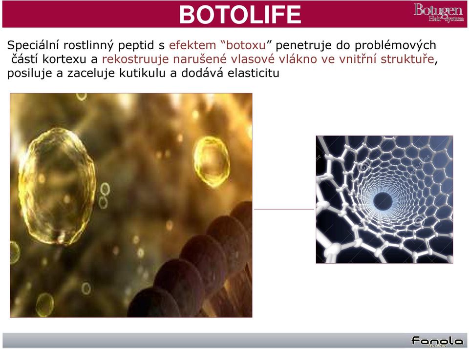 rekostruuje narušené vlasové vlákno ve vnitřní