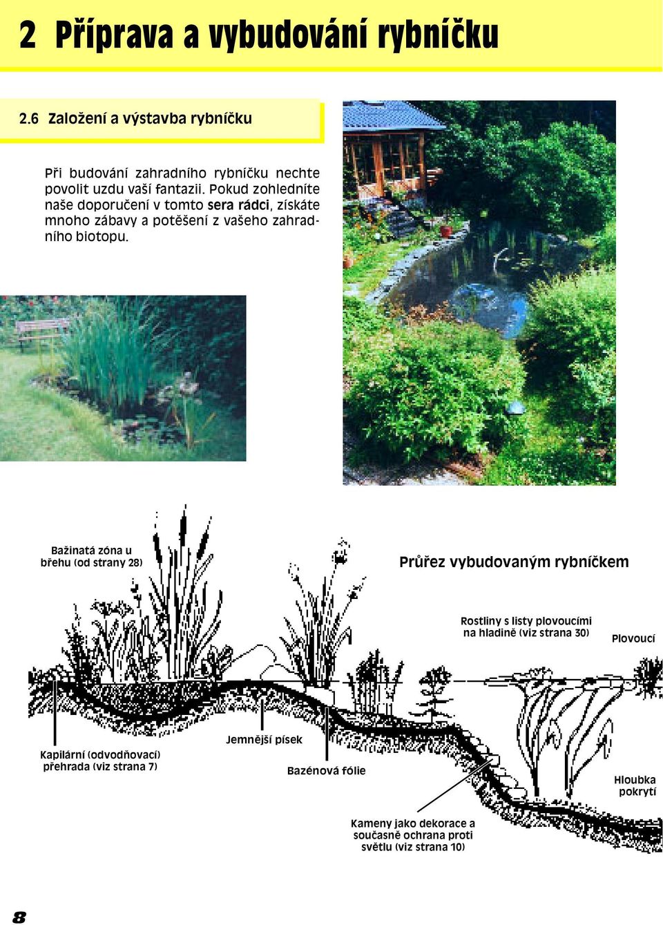 Baûinatá zóna u b ehu (od strany 28) Pr ez vybudovan m rybníëkem Rostliny s listy plovoucími na hladinï (viz strana 30) Plovoucí