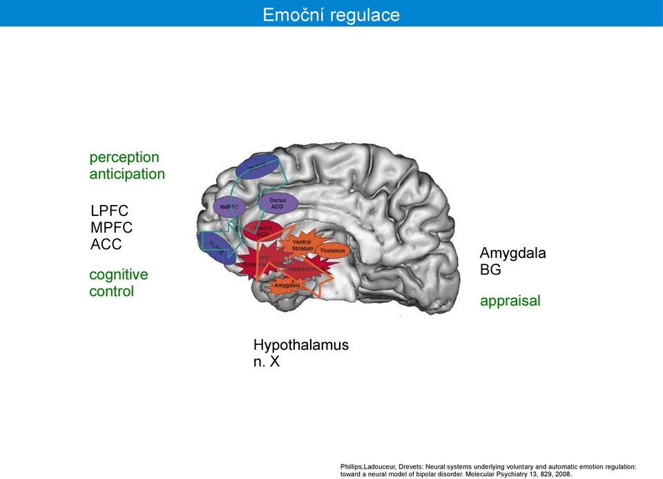 X Johnson and Becker,1999 Amygdala BG appraisal Phillips,Ladouceur, Drevets: