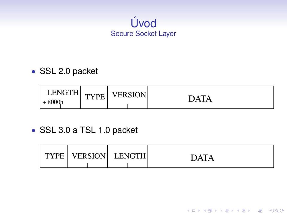 TYPE VERSION DATA SSL 3.