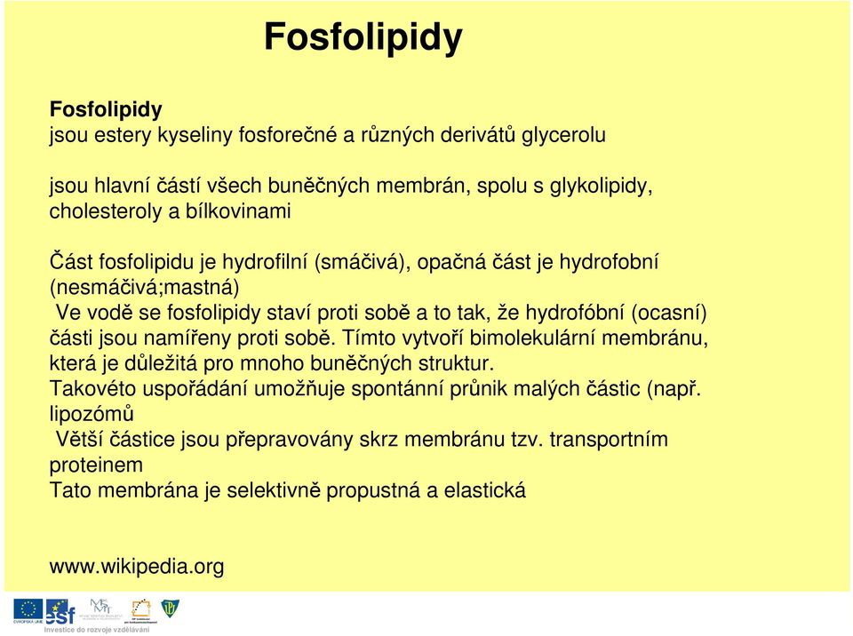 (ocasní) ásti jsou namíeny proti sob. Tímto vytvoí bimolekulární membránu, která je dležitá pro mnoho bunných struktur.