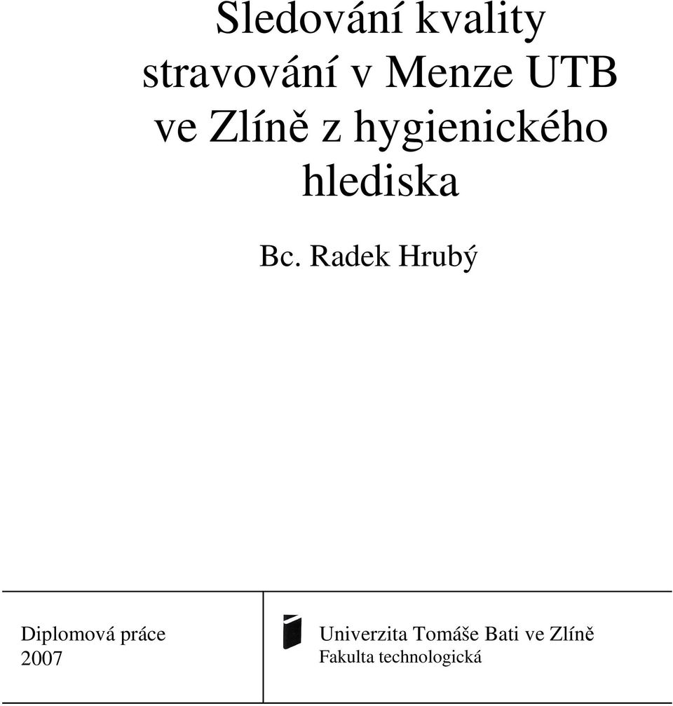 Radek Hrubý Diplomová práce 2007