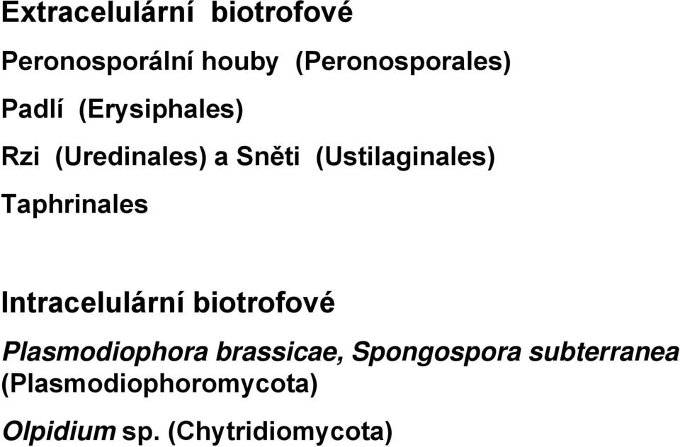 Taphrinales Intracelulární biotrofové Plasmodiophora brassicae,