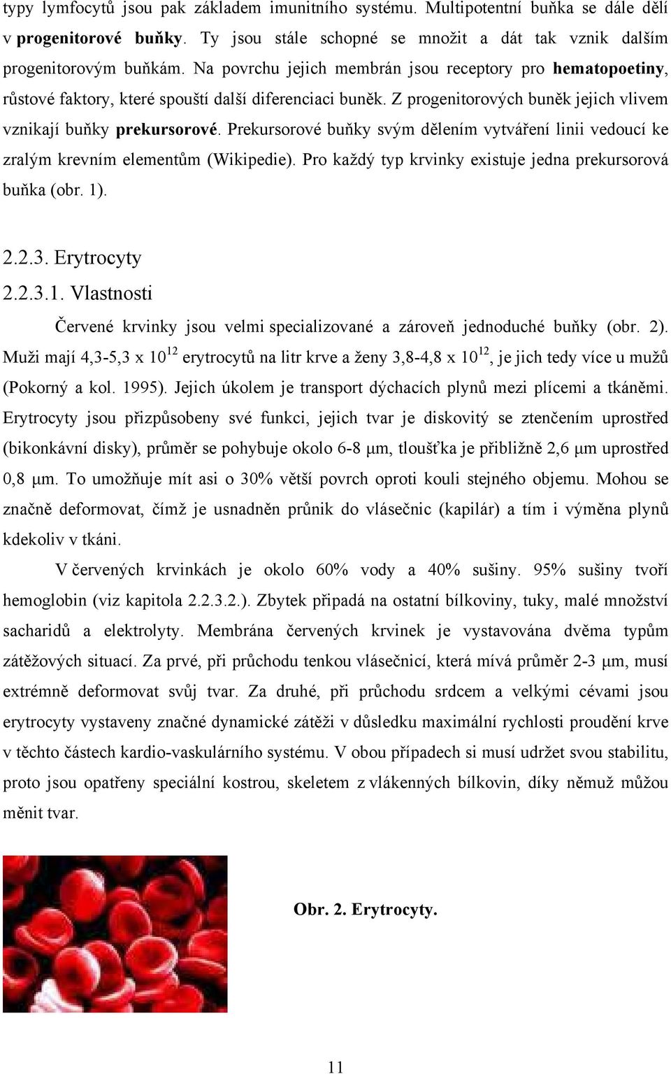 Prekursorové buňky svým dělením vytváření linii vedoucí ke zralým krevním elementům (Wikipedie). Pro každý typ krvinky existuje jedna prekursorová buňka (obr. 1)