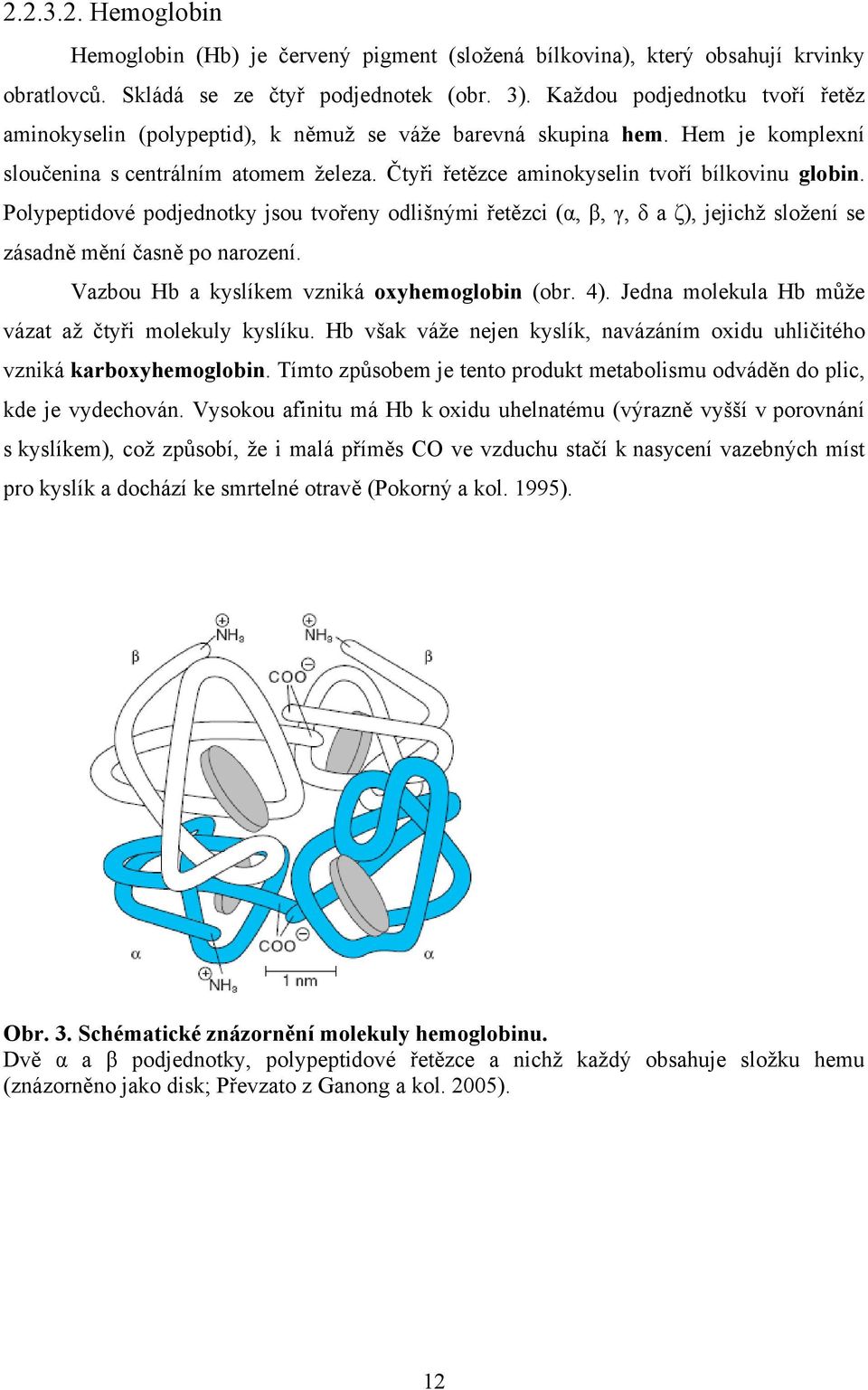 Čtyři řetězce aminokyselin tvoří bílkovinu globin. Polypeptidové podjednotky jsou tvořeny odlišnými řetězci (α, β, γ, δ a ζ), jejichž složení se zásadně mění časně po narození.