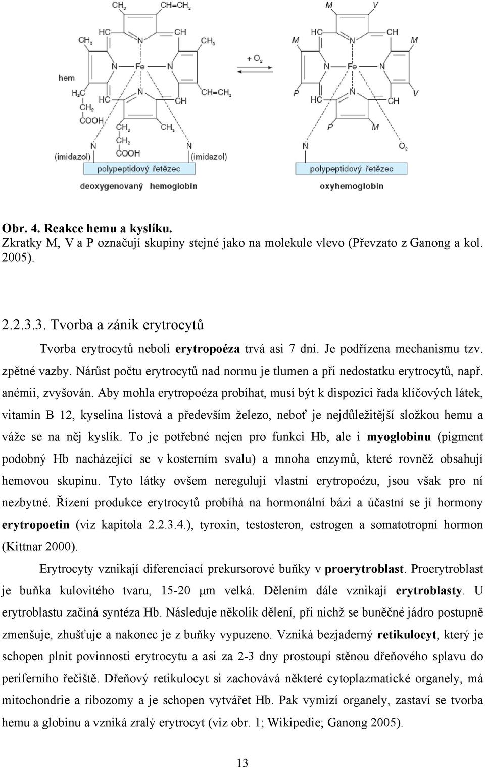 Nárůst počtu erytrocytů nad normu je tlumen a při nedostatku erytrocytů, např. anémii, zvyšován.