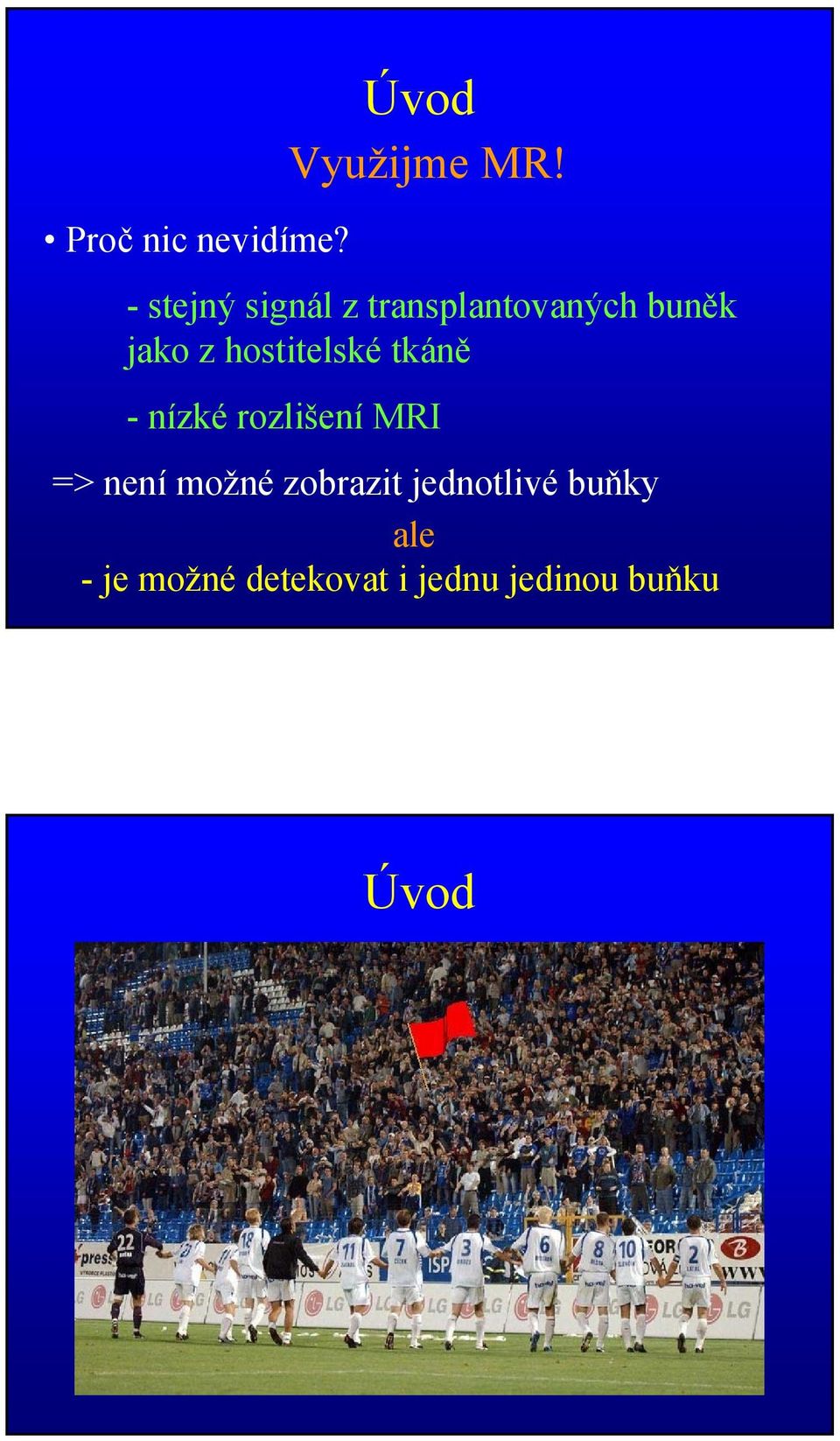 hostitelské tkáně - nízké rozlišení MRI => není možné