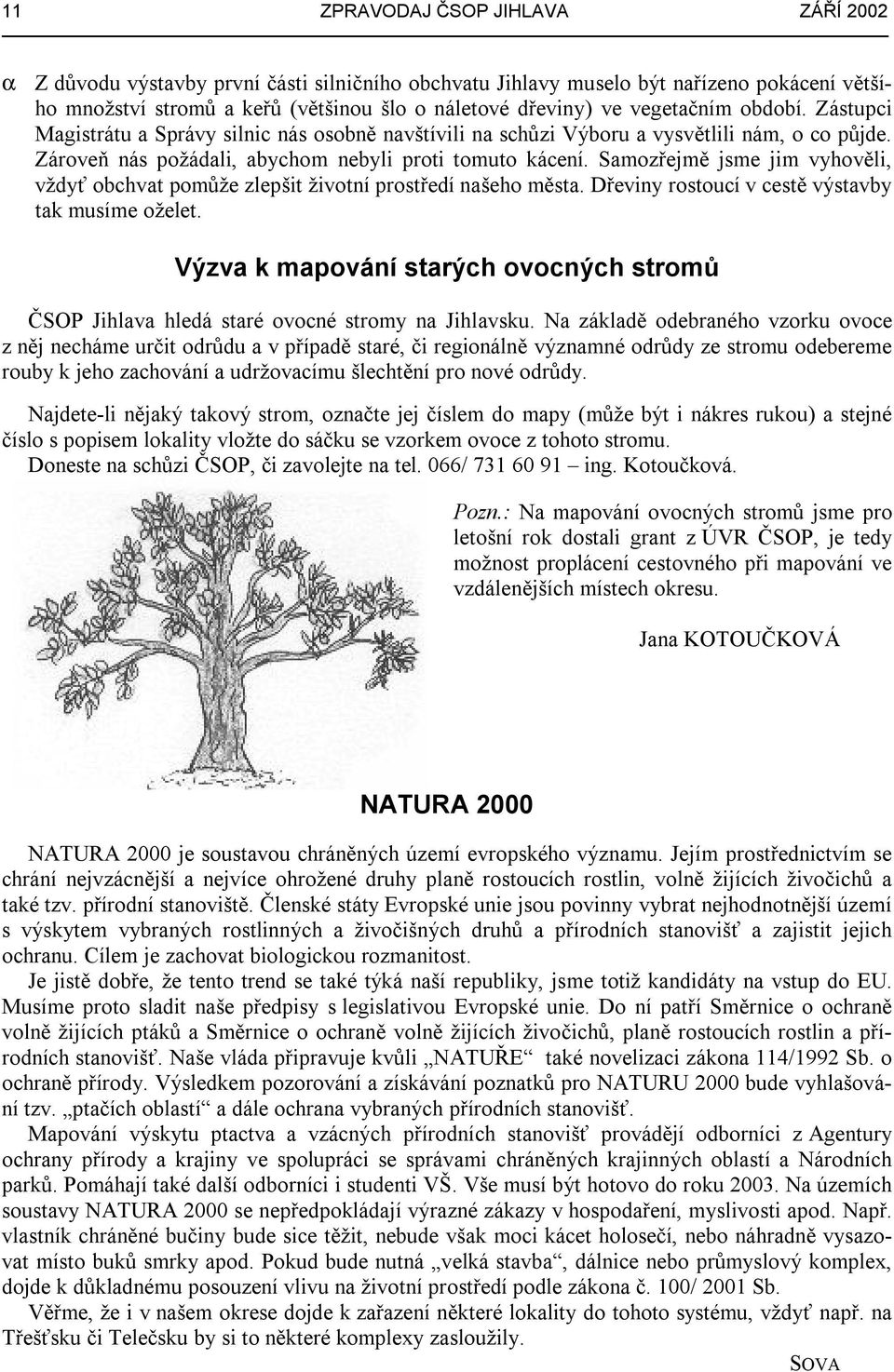 Samozřejmě jsme jim vyhověli, vždyť obchvat pomůže zlepšit životní prostředí našeho města. Dřeviny rostoucí v cestě výstavby tak musíme oželet.