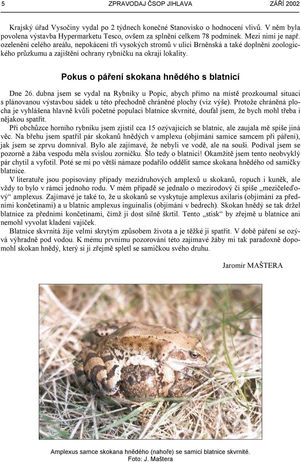 Pokus o páření skokana hnědého s blatnicí Dne 26.