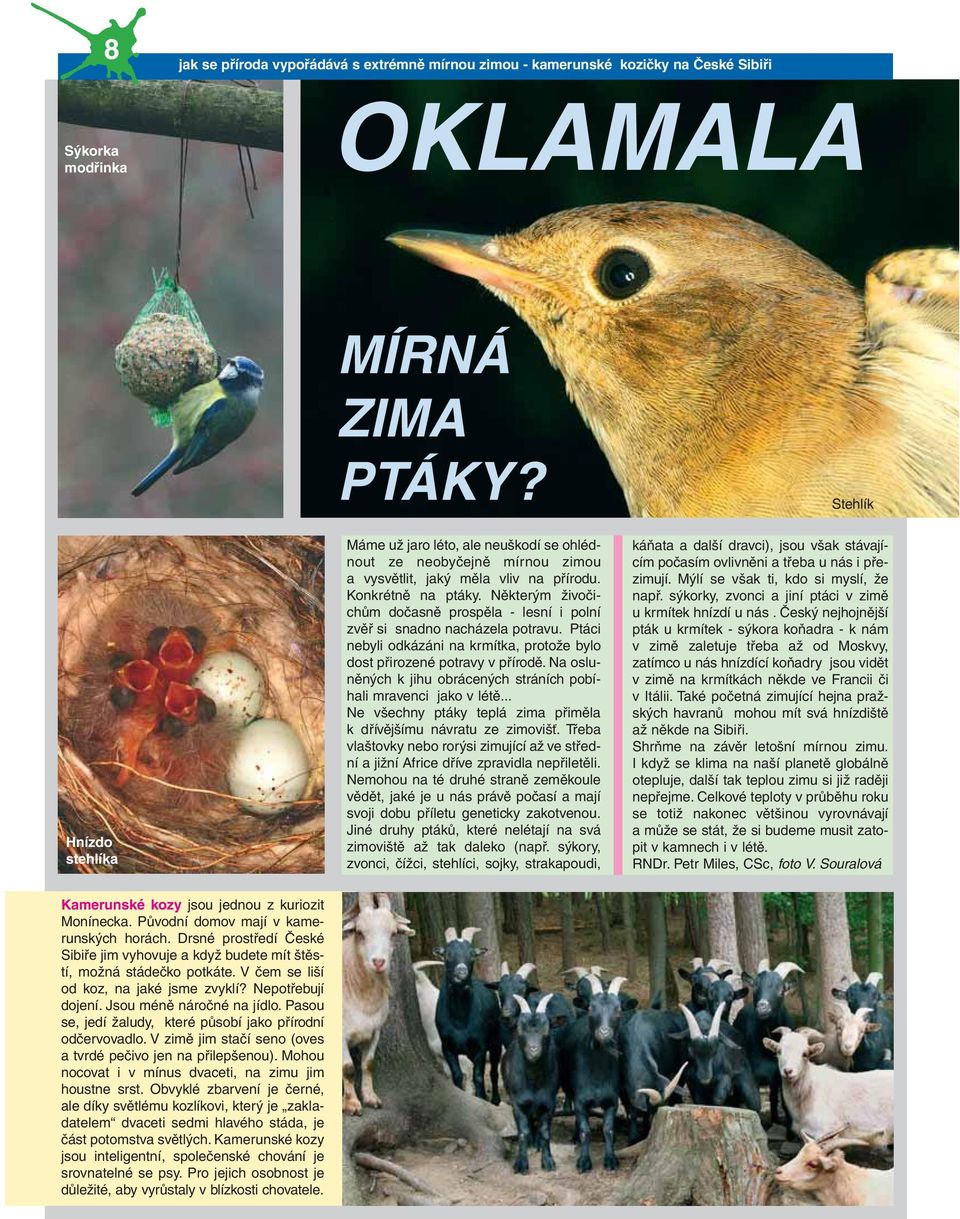 Některým živočichům dočasně prospěla - lesní i polní zvěř si snadno nacházela potravu. Ptáci nebyli odkázáni na krmítka, protože bylo dost přirozené potravy v přírodě.