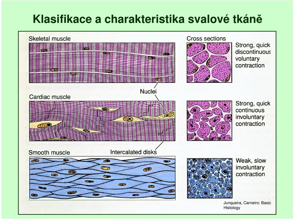 svalové tkáně