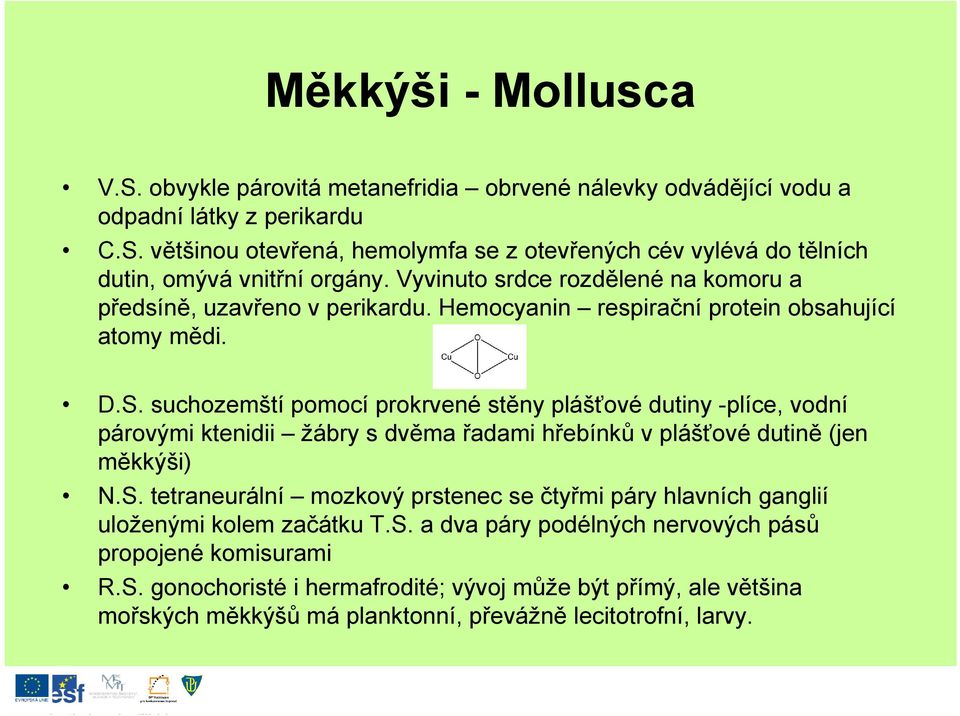 suchozemští pomocí prokrvené stěny plášťové dutiny -plíce, vodní párovými ktenidii žábry s dvěma řadami hřebínků v plášťové dutině (jen měkkýši) N.S.
