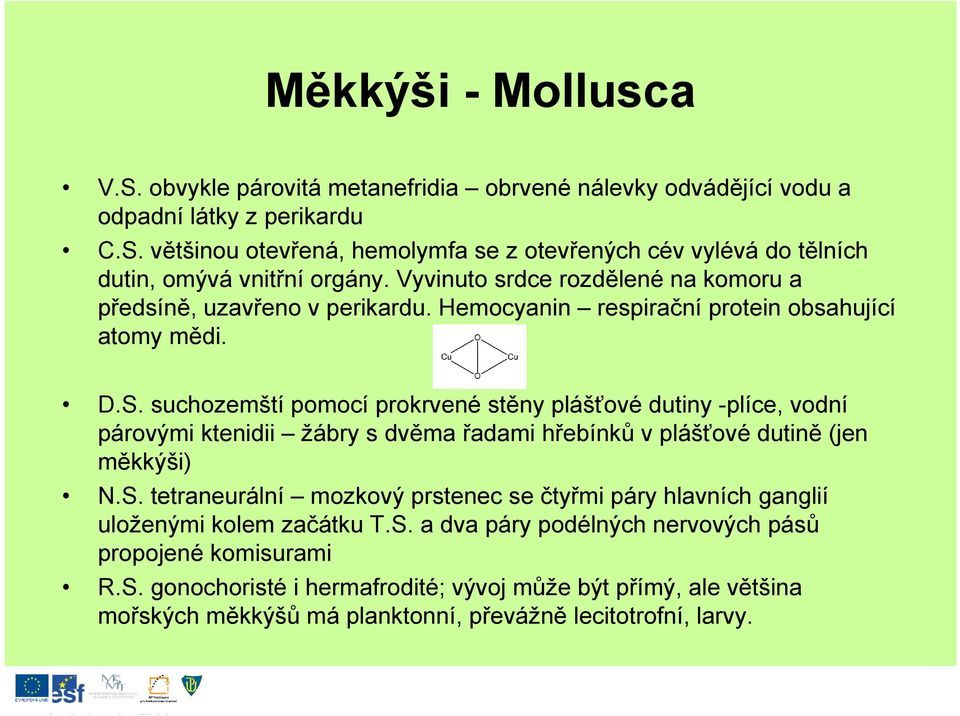 suchozemští pomocí prokrvené stěny plášťové dutiny -plíce, vodní párovými ktenidii žábry s dvěma řadami hřebínků v plášťové dutině (jen měkkýši) N.S.