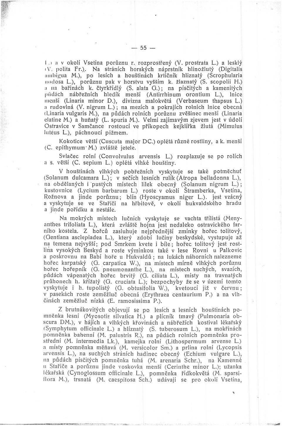 ); na písčitých a kamenitých piidách nábřežních hledík menší (Antirrhinum orontium L.), lnice II lcnší (Linaria minor D.), divizna malokvětá (Verbaseum thapsus L.) a rudovlná (V. nigrum L.