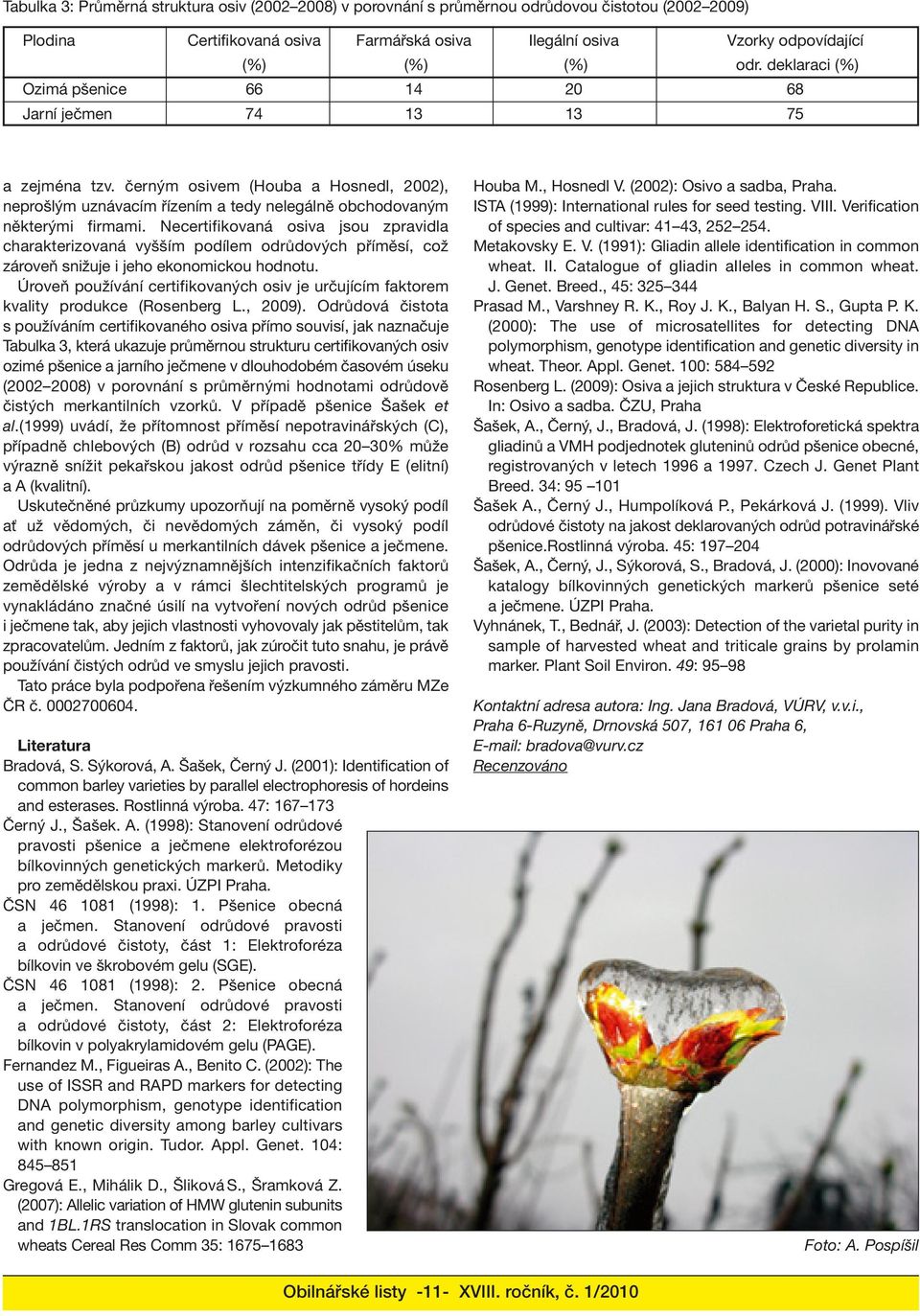 Necertifikovaná osiva jsou zpravidla charakterizovaná vyšším podílem odrůdových příměsí, což zároveň snižuje i jeho ekonomickou hodnotu.
