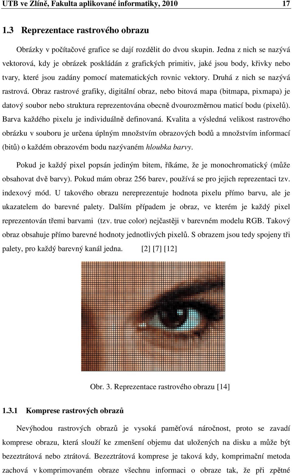 Druhá z nich se nazývá rastrová. Obraz rastrové grafiky, digitální obraz, nebo bitová mapa (bitmapa, pixmapa) je datový soubor nebo struktura reprezentována obecně dvourozměrnou maticí bodu (pixelů).
