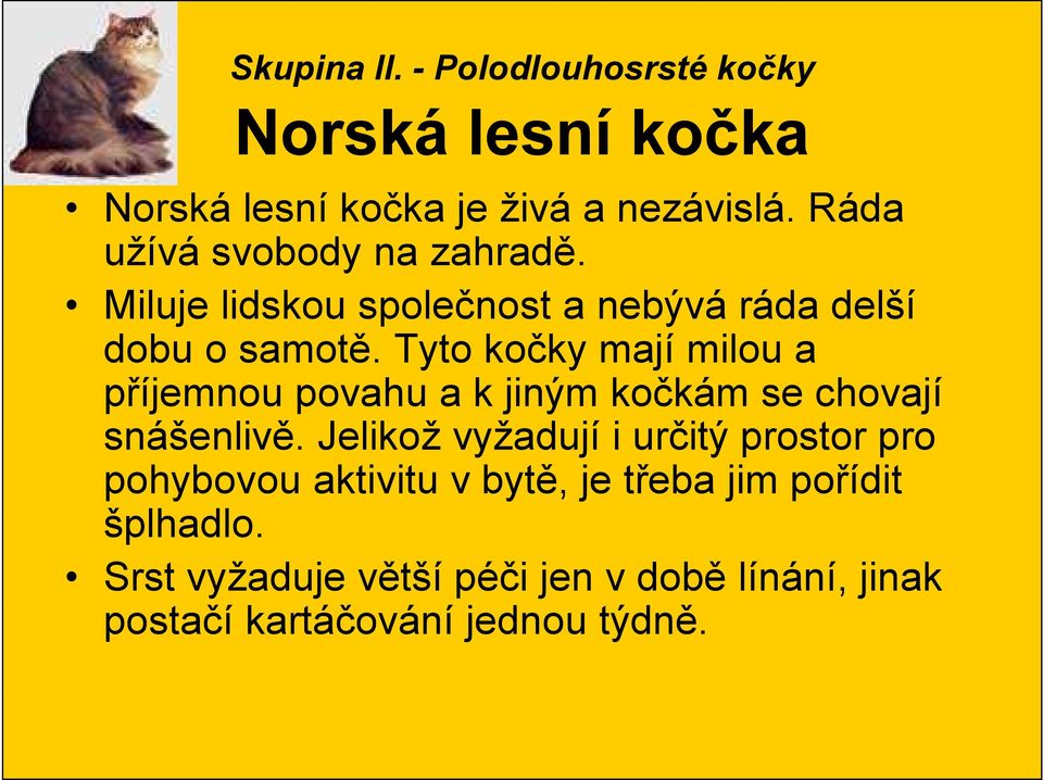 Tyto kočky mají milou a příjemnou povahu a k jiným kočkám se chovají snášenlivě.