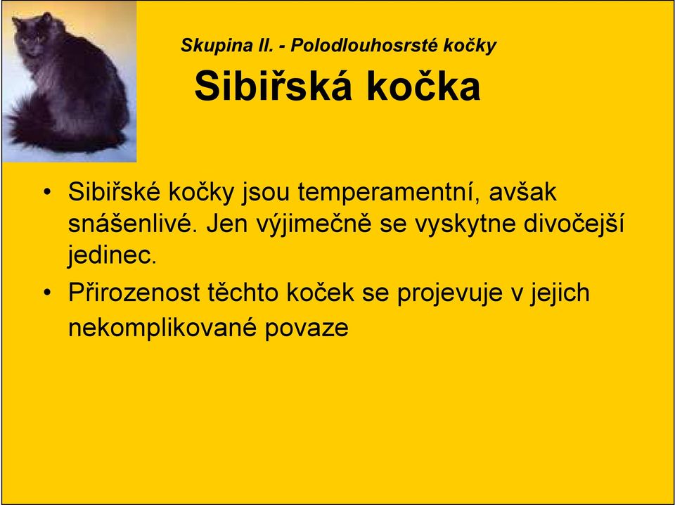 jsou temperamentní, avšak snášenlivé.