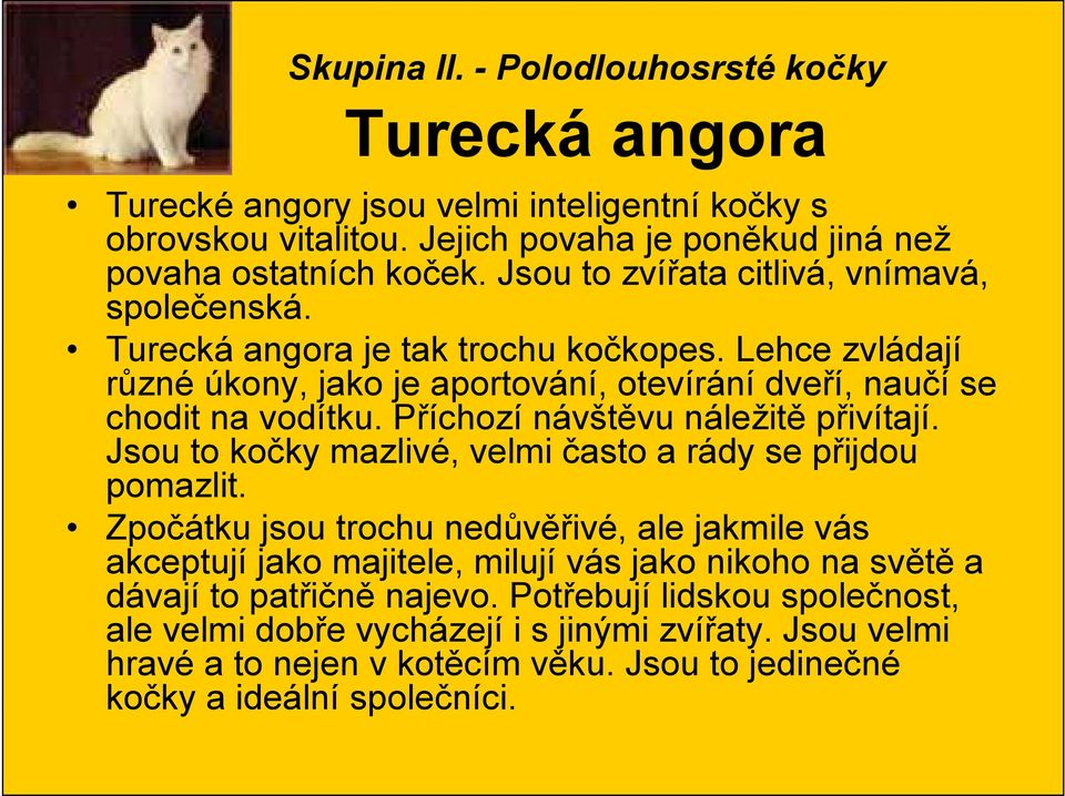 Příchozí návštěvu náležitě přivítají. Jsou to kočky mazlivé, velmi často a rády se přijdou pomazlit.