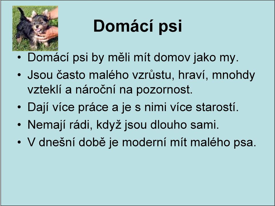 na pozornost. Dají více práce a je s nimi více starostí.