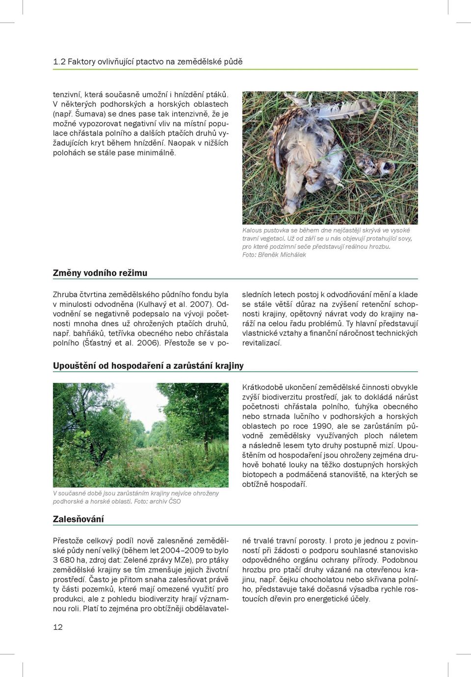 Naopak v nižších polohách se stále pase minimálně. Změny vodního režimu Kalous pustovka se během dne nejčastěji skrývá ve vysoké travní vegetaci.