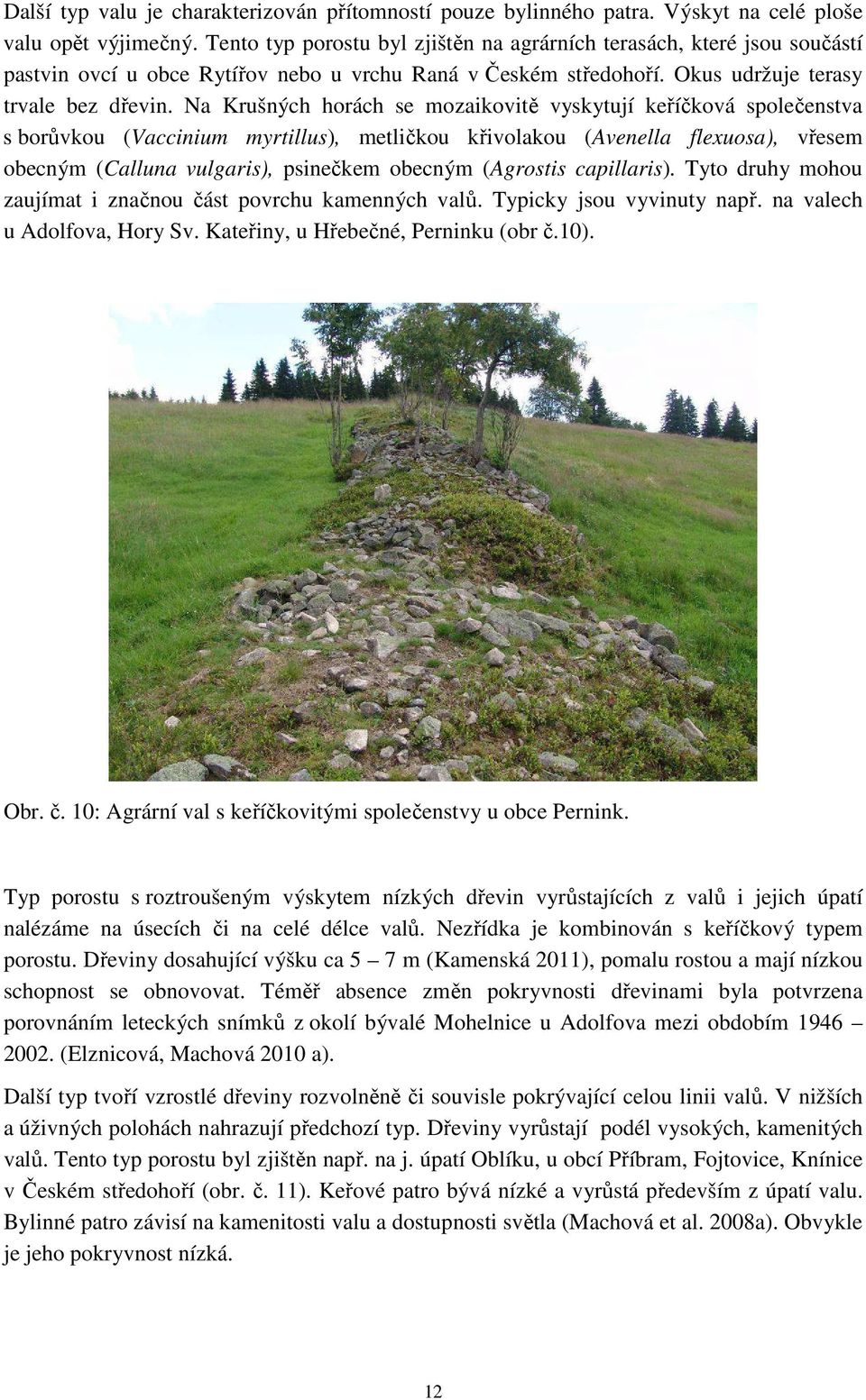 Na Krušných horách se mozaikovitě vyskytují keříčková společenstva s borůvkou (Vaccinium myrtillus), metličkou křivolakou (Avenella flexuosa), vřesem obecným (Calluna vulgaris), psinečkem obecným