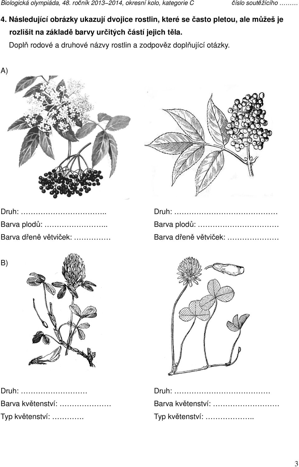 Doplň rodové a druhové názvy rostlin a zodpověz doplňující otázky. A) Druh:.. Barva plodů:.