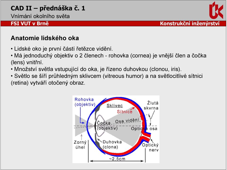 vnitřní. Množství světla vstupující do oka, je řízeno duhovkou (clonou, iris).