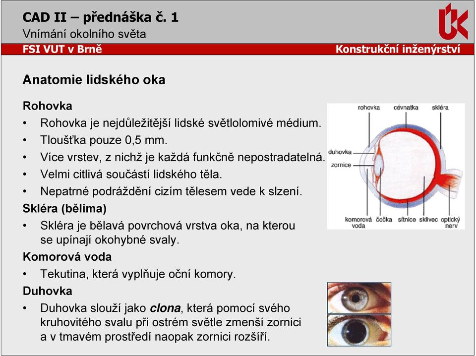 Nepatrné podráždění cizím tělesem vede k slzení.