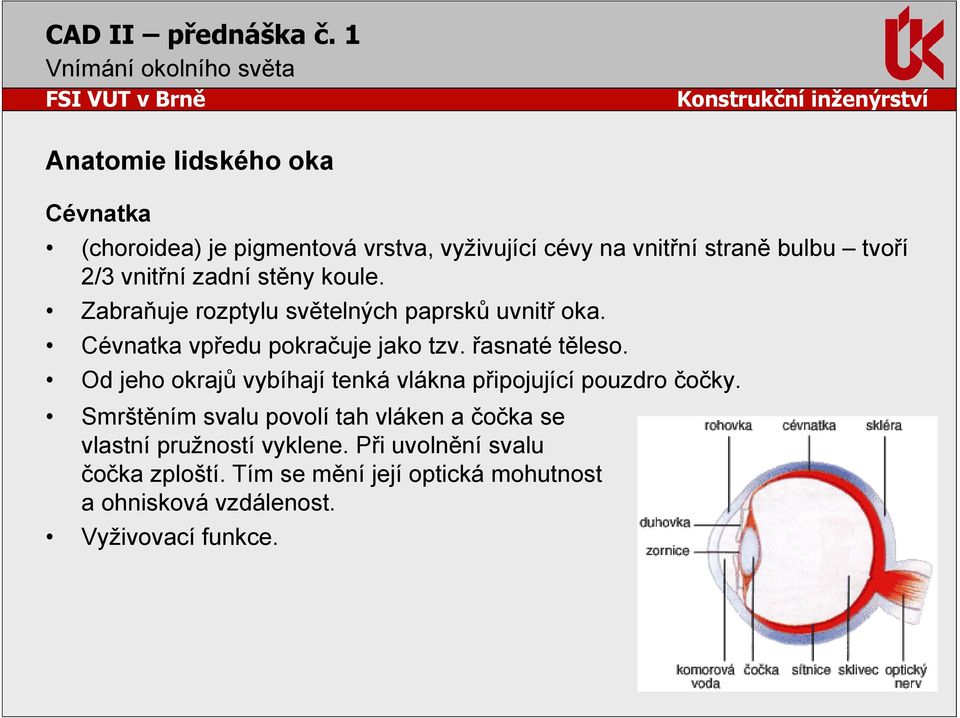 Od jeho okrajů vybíhají tenká vlákna připojující pouzdro čočky.