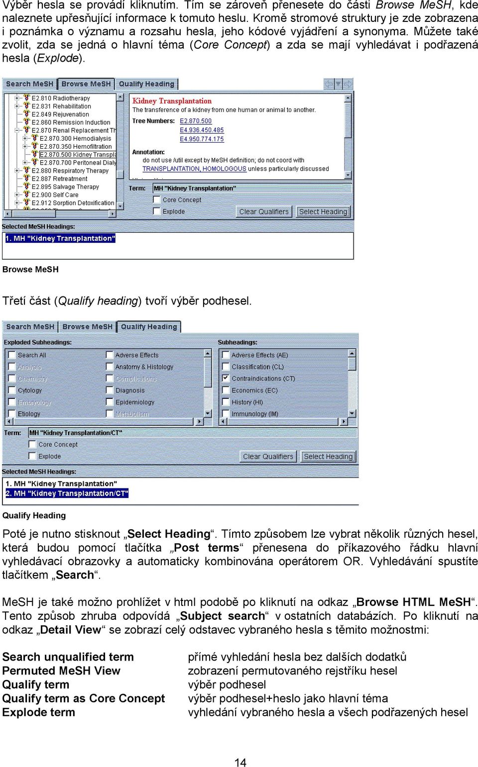 Můžete také zvolit, zda se jedná o hlavní téma (Core Concept) a zda se mají vyhledávat i podřazená hesla (Explode). Browse MeSH Třetí část (Qualify heading) tvoří výběr podhesel.