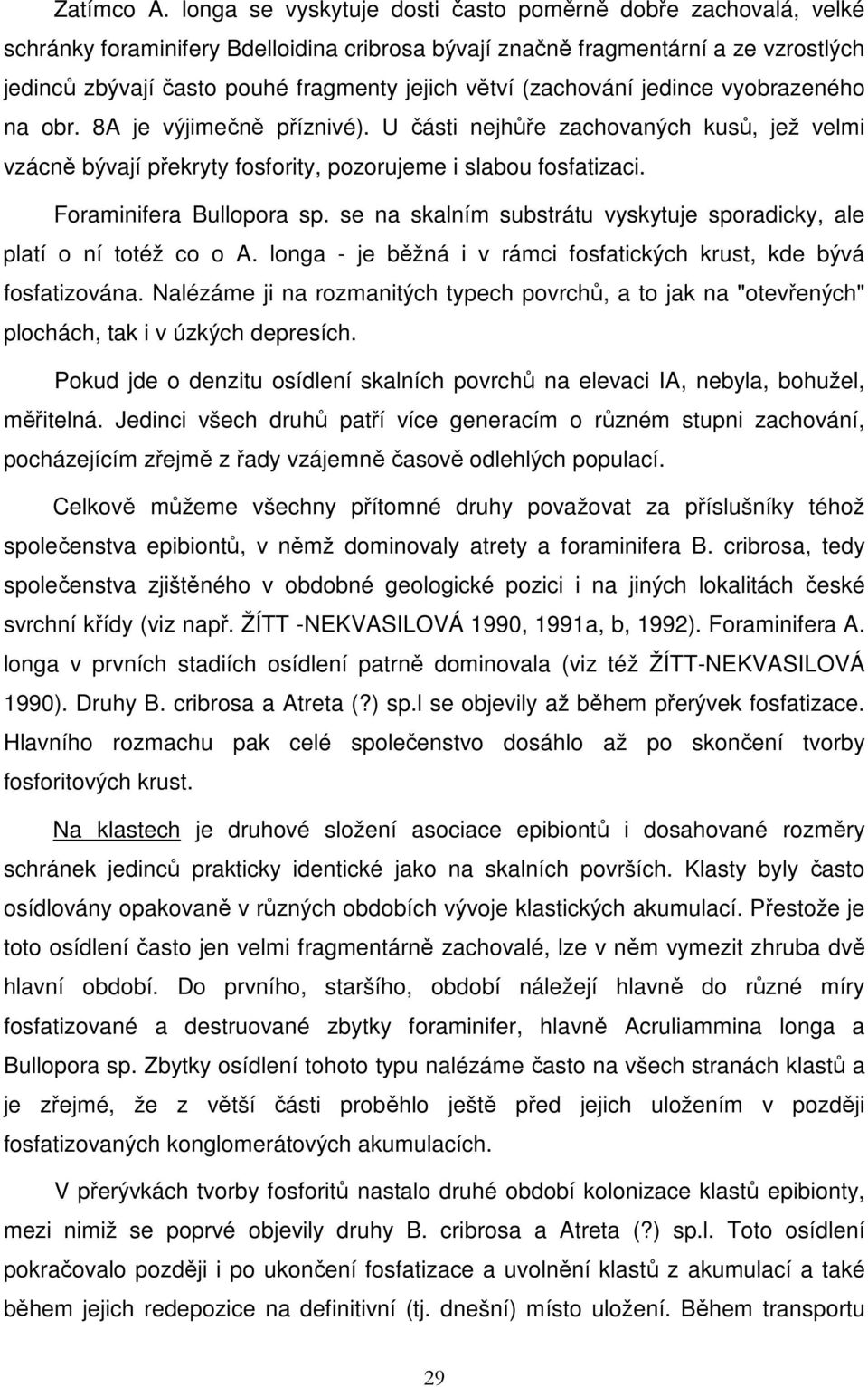(zachování jedince vyobrazeného na obr. 8A je výjimečně příznivé). U části nejhůře zachovaných kusů, jež velmi vzácně bývají překryty fosfority, pozorujeme i slabou fosfatizaci.