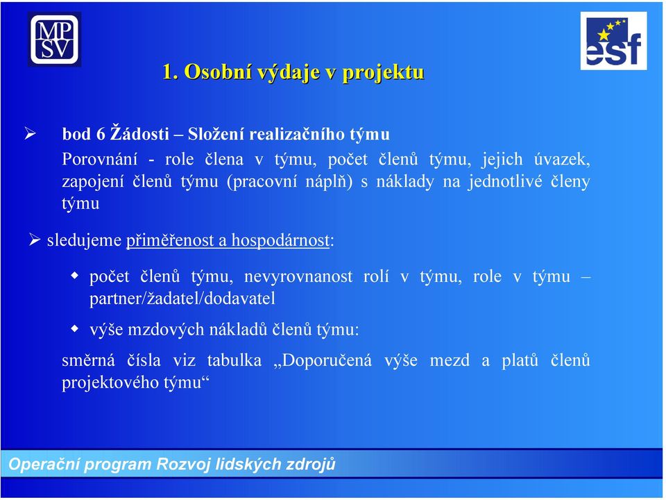 přiměřenost a hospodárnost: počet členů týmu, nevyrovnanost rolí v týmu, role v týmu