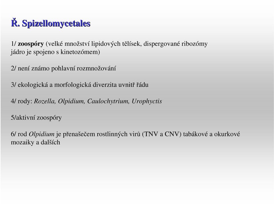 morfologická diverzita uvnitř řádu 4/ rody: Rozella, Olpidium, Caulochytrium, Urophyctis