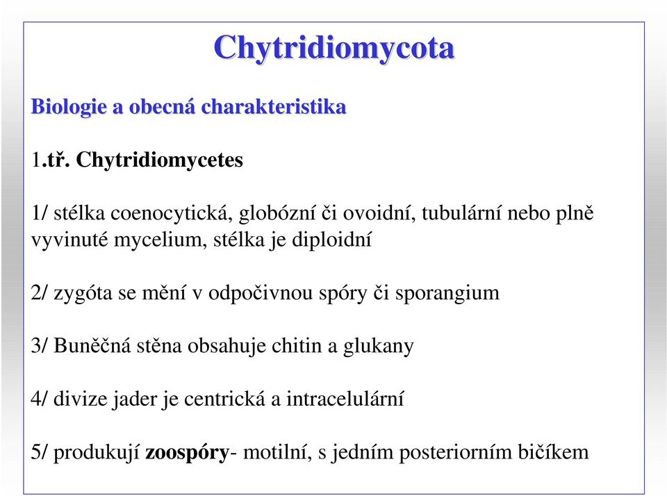 mycelium, stélka je diploidní 2/ zygóta se mění v odpočivnou spóry či sporangium 3/ Buněčná