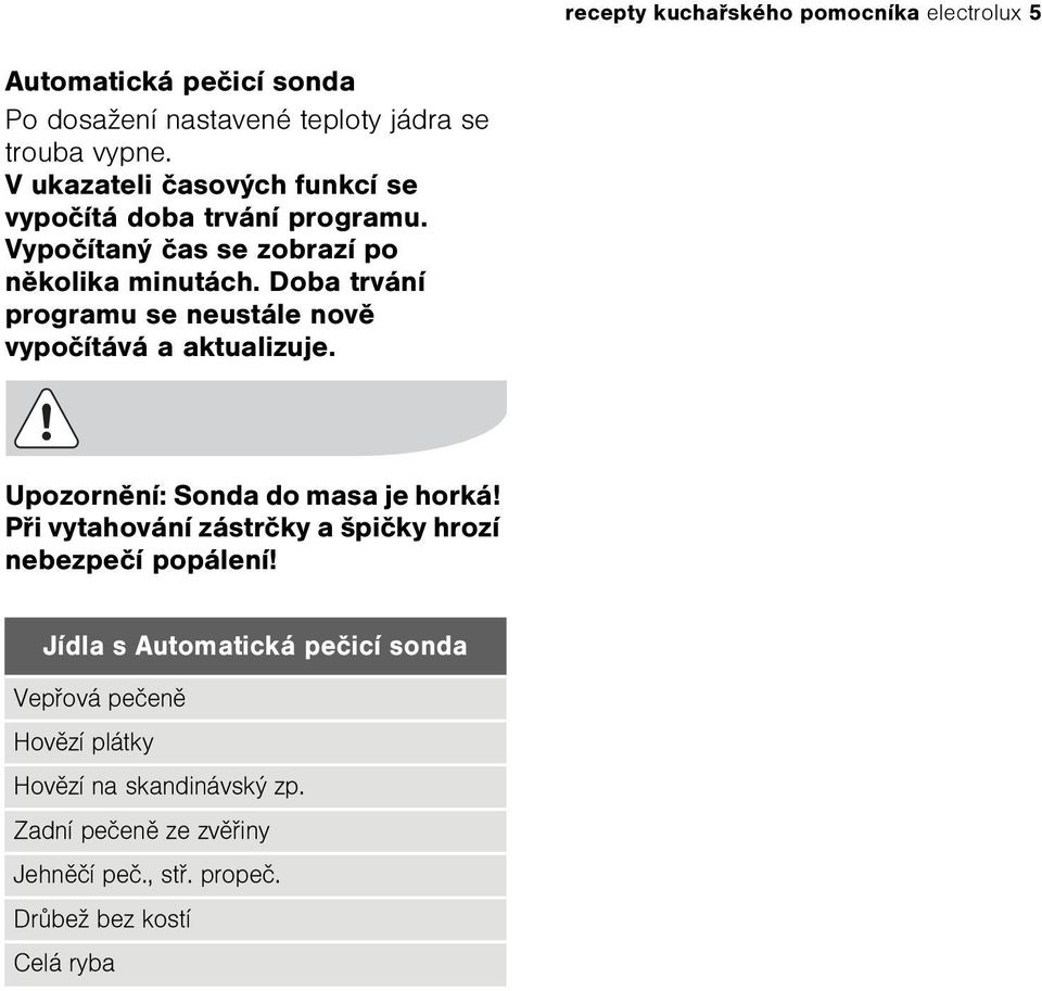 Doba trvání programu se neustále novì vypoèítává a aktualizuje. Upozornìní: Sonda do masa je horká!